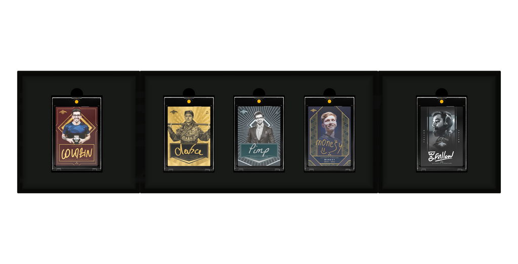 CS2 2024 Legends Premium Display Box NA