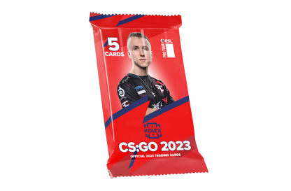 CSGO Season 2023 China Small Display Box